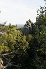 Cracked and sharp grey weathered rocks in green spruce forest in sunny summer day with golden sunlights, high view on valley. Majestic mountains background and hiking in outdoors, vertical.