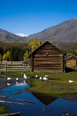 Xinjiang Province,Aletai,
