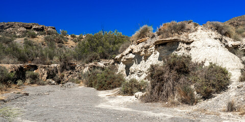 Tabernas Desert Nature Reserve, Special Protection Area, Hot Desert Climate Region, Tabernas, Almería, Andalucía, Spain, Europe
