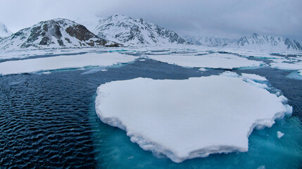Drift floating Ice and Snowcapped Mountains, Iceberg, Ice Floes, Albert I Land, Arctic,...