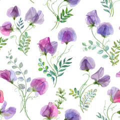 Sweet pea and spring leaves seamless pattern isolated on white. Watercolor botanical illustration. Romantic transparent flowers. Spring floral bouquets - obrazy, fototapety, plakaty