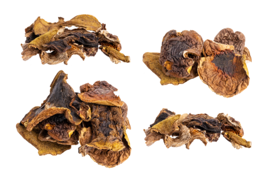 dried agaricus blazei isolated on transparent background png