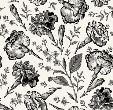Seamless pattern carnation clove. Beautiful blooming realistic isolated flowers. Vintage background fabric wildflowers. Wallpaper baroque Drawing engraving sketch Vector illustration