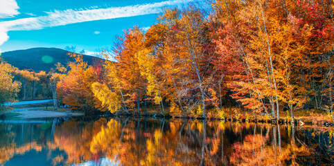 Foliage landscape and colors. Lake and trees in autumn season, water reflections, relax concept