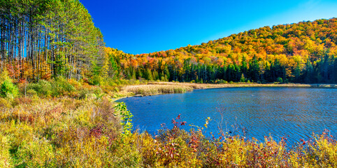 Foliage landscape and colors. Lake and trees in autumn season