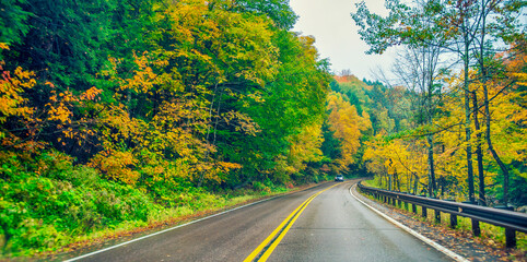 Road across the forest in foliage season on a rainy day