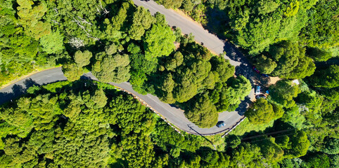 Downward aerial view of a beautful windy road across a forest