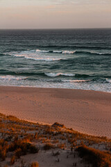 Picture of mandalay beach in Western Australia. Ocean in the background, beach and sand, plants and grass in the foreground. Sea view with waves. Sunset, golden hour evening walk.