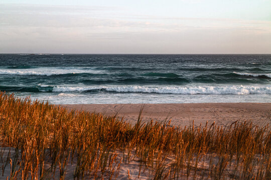 Picture of mandalay beach in Western Australia. Ocean in the background, beach and sand, plants and grass in the foreground. Sea view with waves. Sunset, golden hour evening walk.