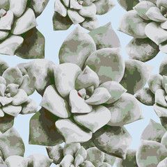 Succulents seamless pattern