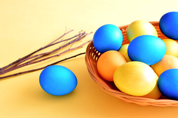 yellow and blue painted eggs in the basket isolated on yellow background with twigs