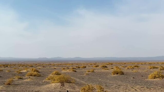 Broll driving scene scenic landscape of desert in day time in Iran
Wild animal plant vegetable grass dry bushes foliage grown in hot climate to fix the soil earth from flood important cover to camels