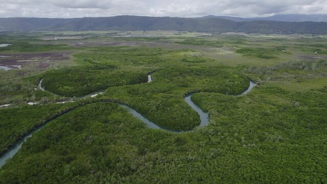 Lush Green Vegetation Around The Winding River In North Queensland, Australia. - arial