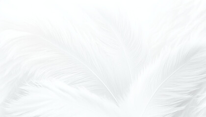 Fototapeta na wymiar white feather texture background, wooly pattern, generative ai