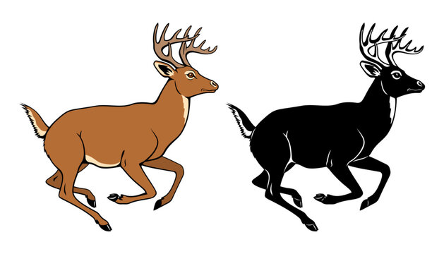 Stag, Deer Antelope. Vector color clipart and silhouette isolated on white.