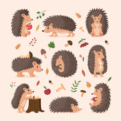 Cute hedgehog. Sleeping, relaxing cute forest animals. Walking, play and standing, happy autumn characters in different poses. Vector utter cartoon flat style isolated illustration © Natalia