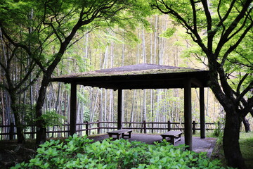 美しい緑と竹林に囲まれた公園の休憩所