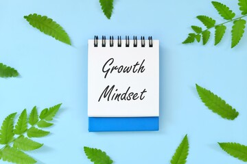 Growth mindset reminder concept. Beautiful minimalist natural flat lay composition with blue...