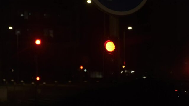 Traffic light (La defense Paris, France)