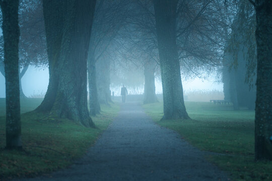Lost in the Mist: Enigmatic Image of a Man Walking through a Foggy Alleyway in Sweden