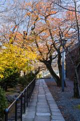 Fototapeta na wymiar 日本　岡山県倉敷市の倉敷美観地区の倉敷アイビースクエアと紅葉した木