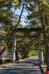 日本　岡山県岡山市北区吉備津にある吉備津神社へ向かう参道と松並木