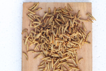 Concept of Dried black soldier fly maggots arranged on a wooden base after being processed from live maggots - obrazy, fototapety, plakaty