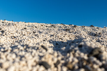 Detail of white colored polychaetes, resembling popcorn, from the shore of a beach. Blue sky in the background. Popcorn beach, Fuerteventura, Canary Islands.