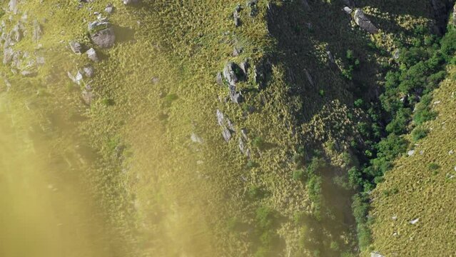 Tabaquillo forest (Polylepis australis) on a slope of the Comechingones mountains.Cordoba, Argentina.