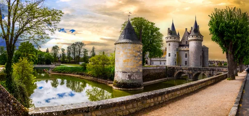 Foto op Canvas great medieval catsles of Loire valley in France. beautiful impressive Sully-sul-Loire over sunset © Freesurf