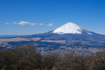 金時山山頂から見る富士山