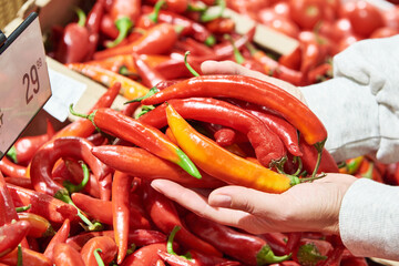 Red hot peppers in hands in shop
