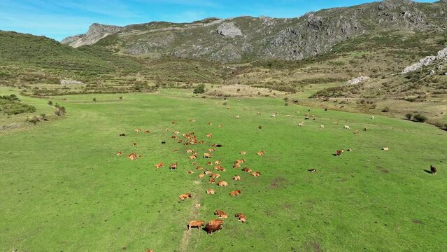 Cubillas de Arbas mountains aerial view, advance shot