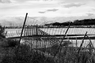 barbed wire fence