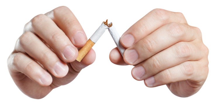 Close-up of male hands breaking a cigarette in half, cut out