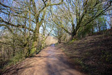 Springtime along the Malvern hills.