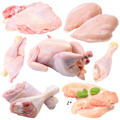  Chicken meat isolated
