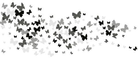 Romantic black butterflies cartoon vector wallpaper. Spring beautiful moths. Fancy butterflies cartoon kids background. Tender wings insects patten. Nature creatures.