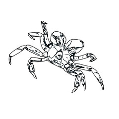 black and white sketch of a crab with transparent background