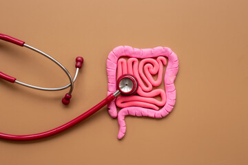 Human intestines colon organ shape. Bowel disease concept