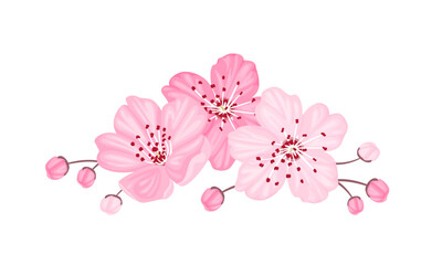 Cherry blossom icon. Sakura flowers and buds vector cartoon illustration. Spring floral arrangement.