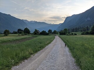 Evening summer walk to the lake with mountains and path, Bohinj