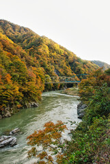 Japanese scenery - autumn in the mountain