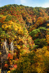 Japanese scenery - autumn in the mountains