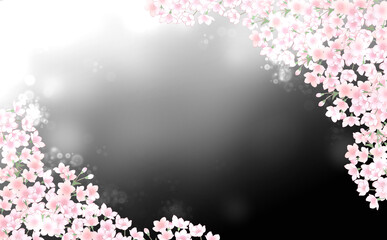 満開の桜 キラキラ背景グラデ素材 -黒-