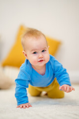 Caucasian baby toddler crawls on all fours around the room