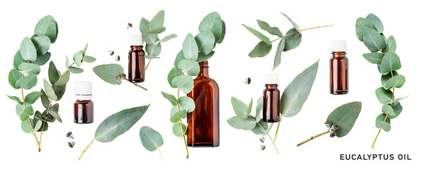 Eucalyptus oil. Eucalyptus aromatherapy essential oil in bottle and leaves set.  PNG isolated with transparent background. Flat lay, top view. Without shadow. - obrazy, fototapety, plakaty