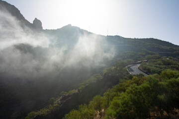 Fog in the mountains with road on Tenerife in Spain
