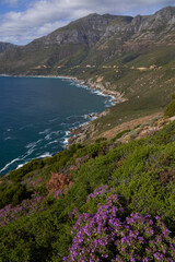 Fototapeta premium Chapmans Peak Drive along the coast of the Cape Peninsular in South Africa