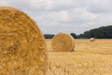Strohballen liegen auf dem Stoppelfeld